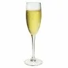 Cabernet Champagneglas 16 Cl