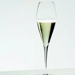 Riedel Vitis Champagne Vinglas -Rödvinsglas Rea image 4045