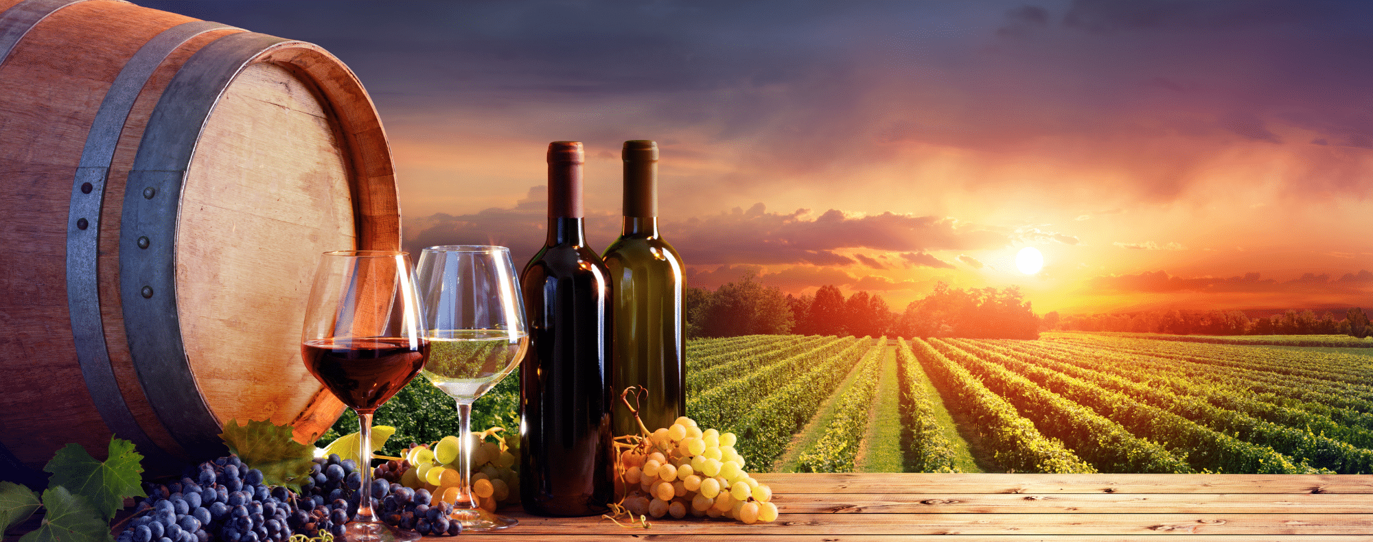 Framsida -Rödvinsglas Rea Wine glass web banner 2